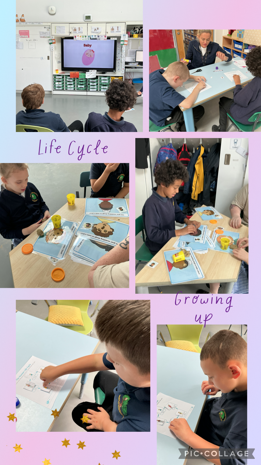 Image of Learning About the Human Life Cycle
