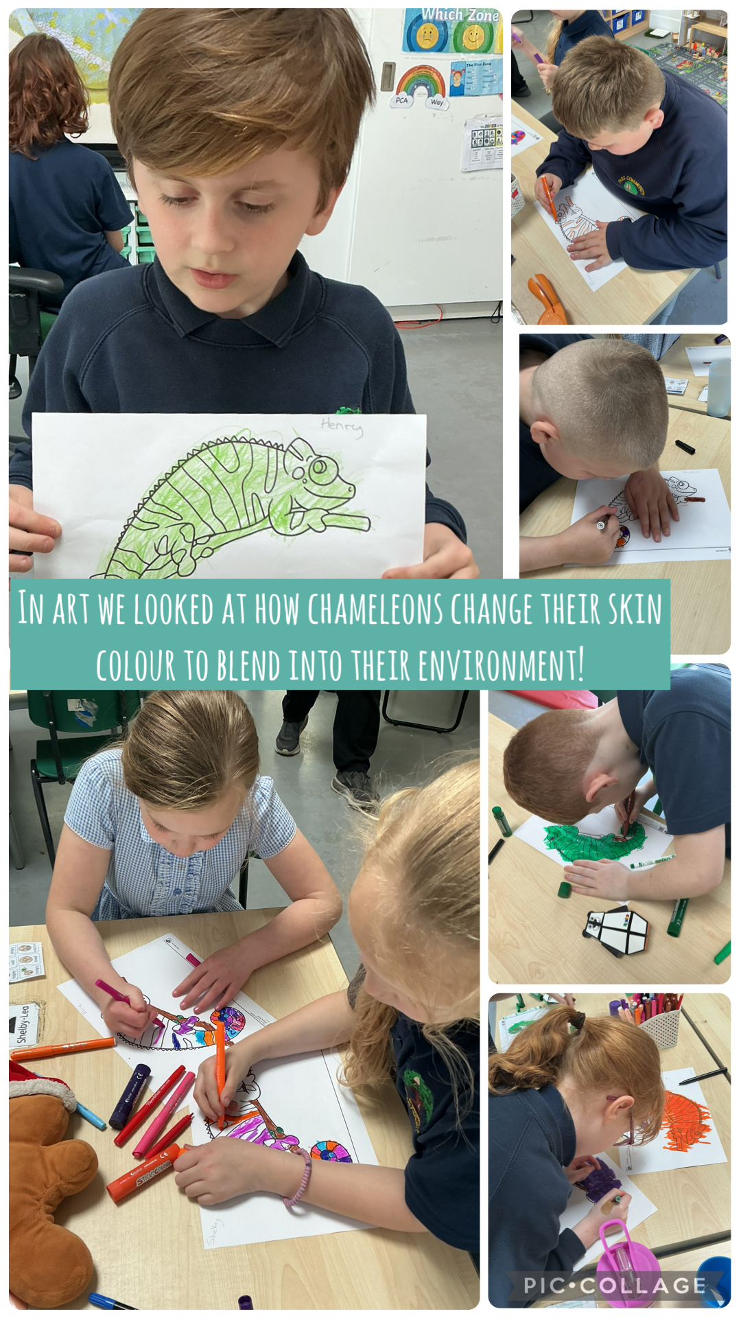 Image of Chameleon camouflage 