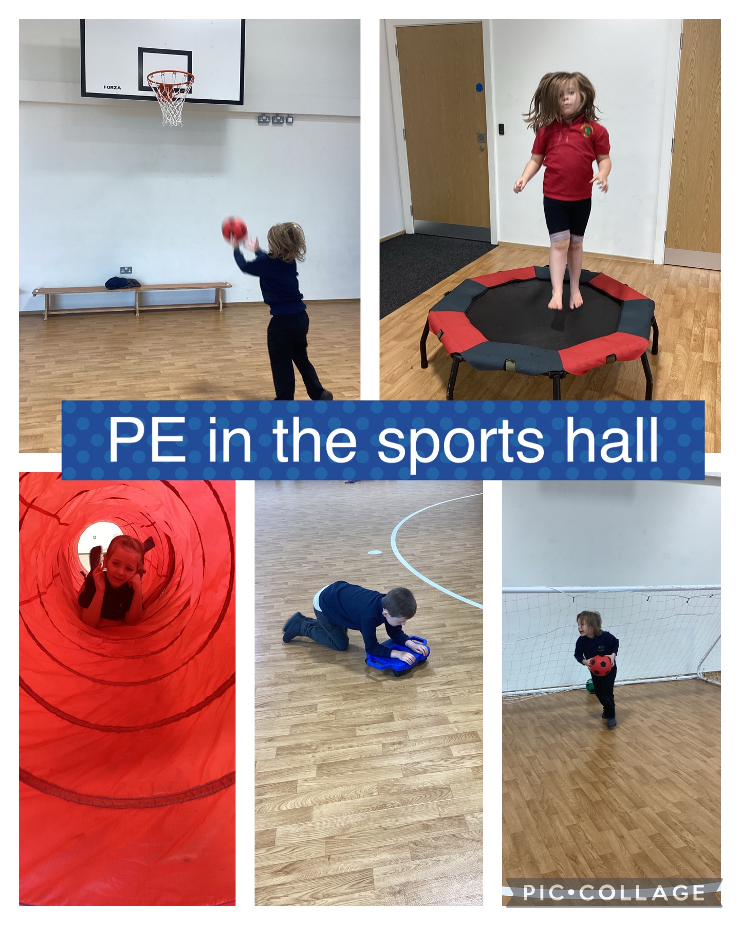 Image of PE in the sports hall.