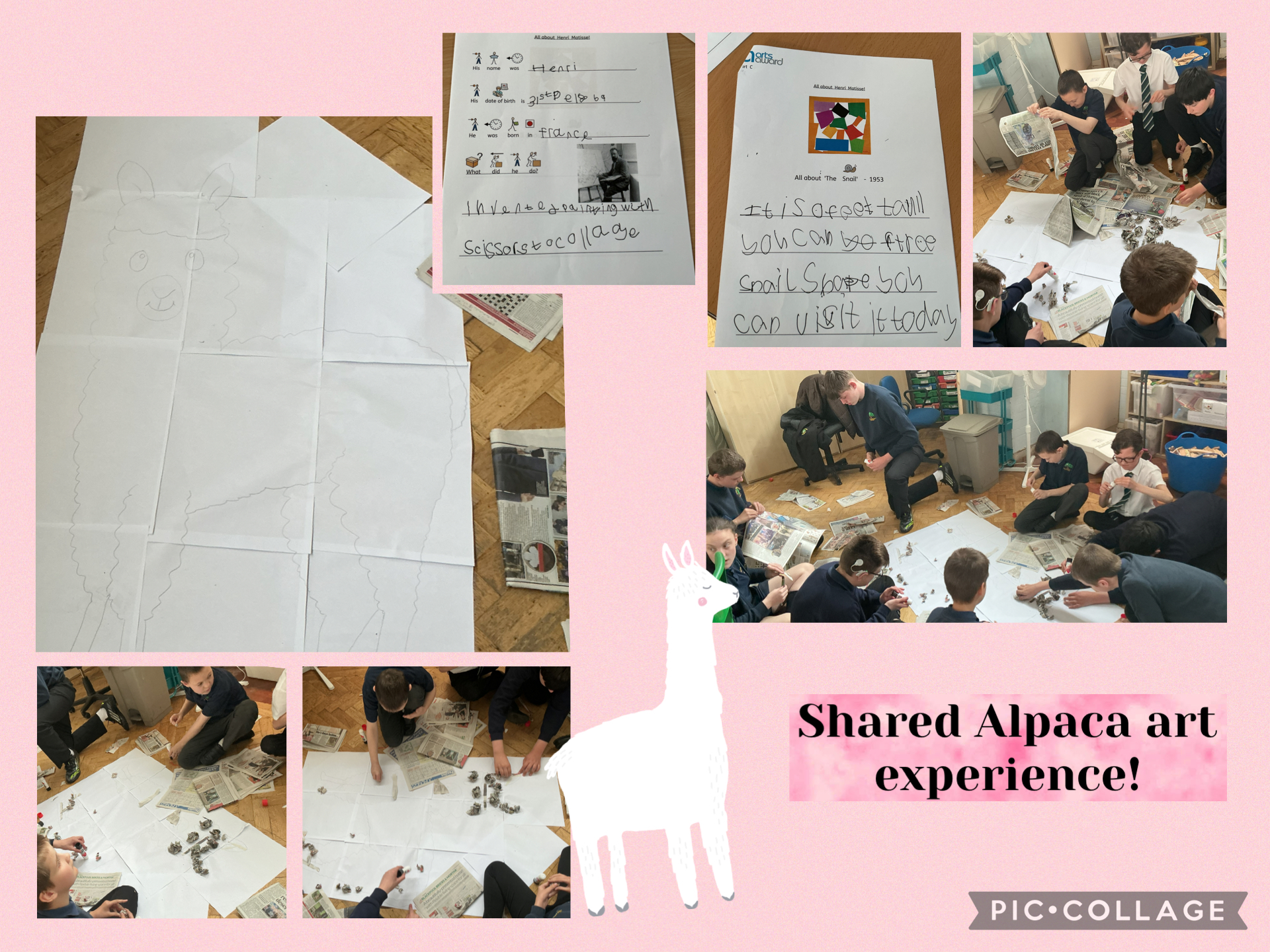 Image of Alpaca Art!