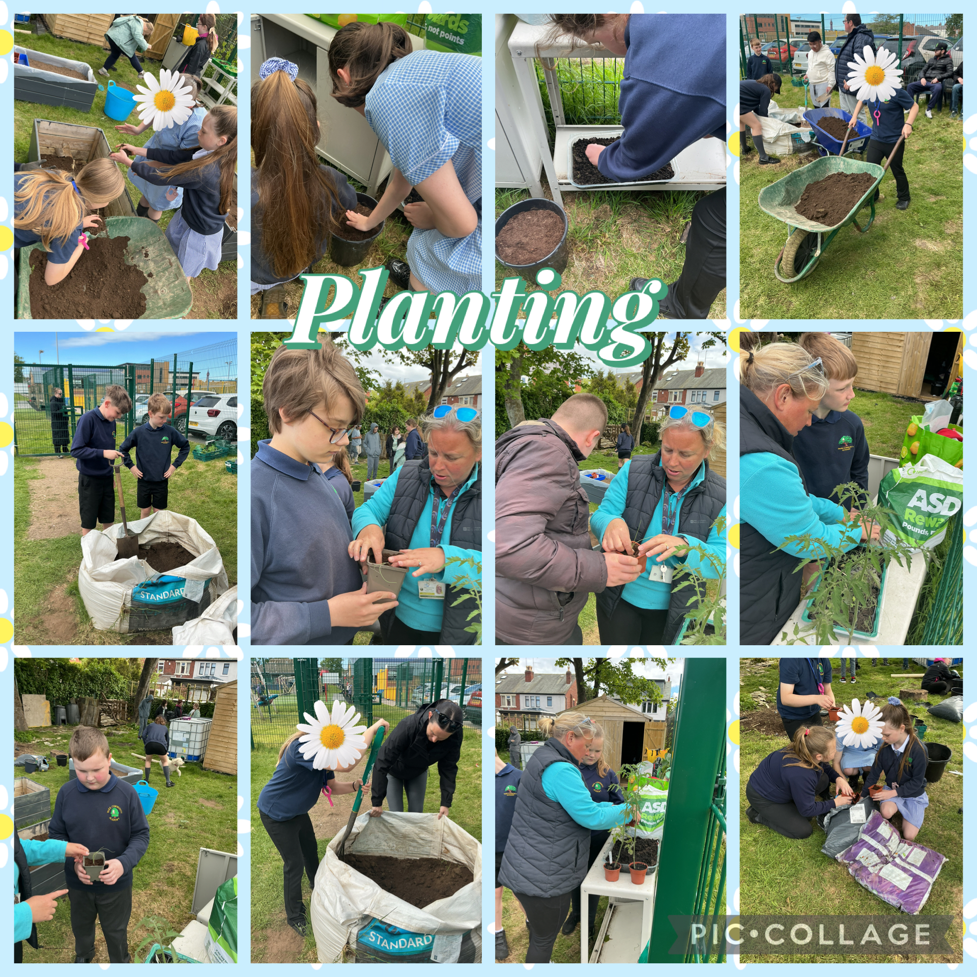 Image of Let’s go gardening