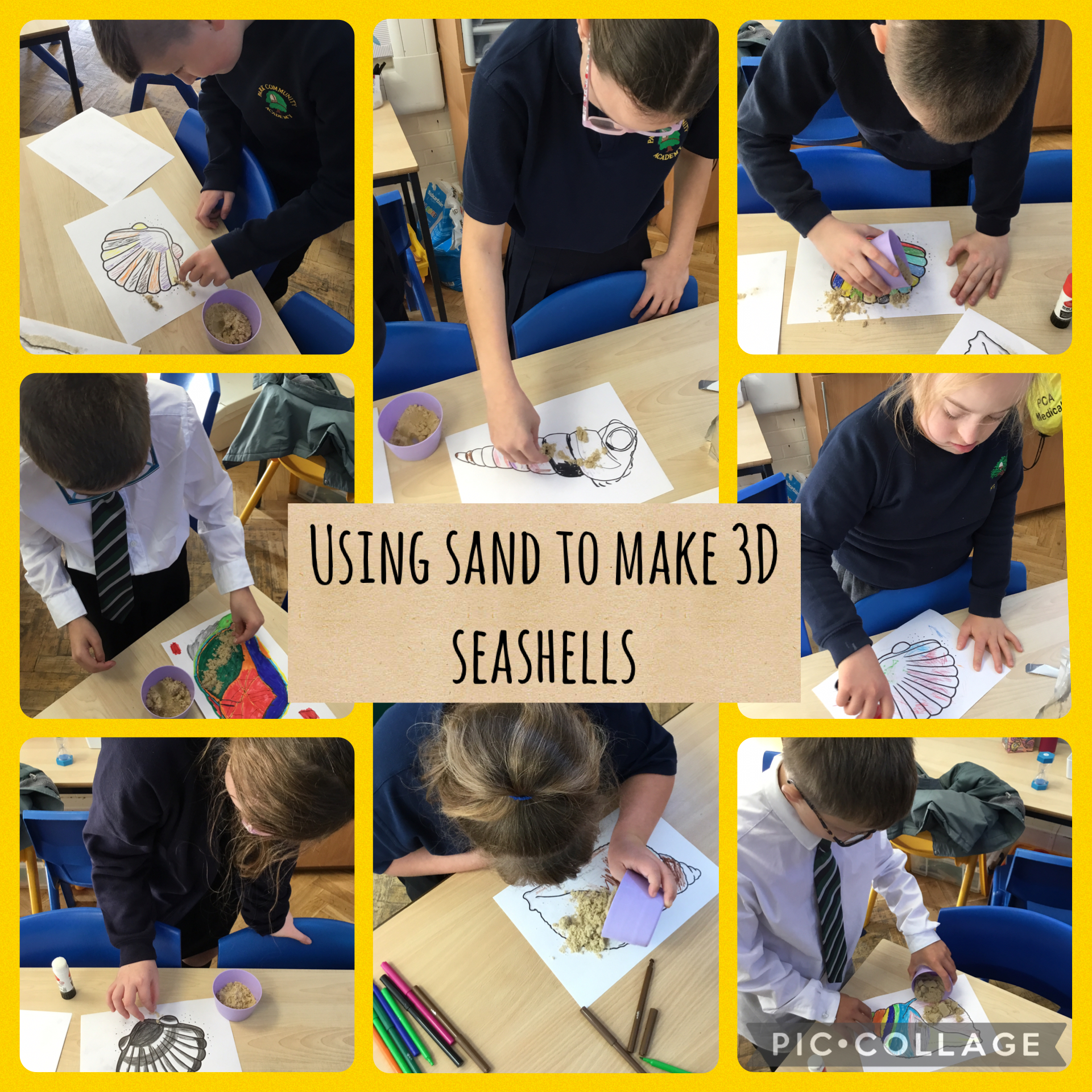 Image of Sandy seashells
