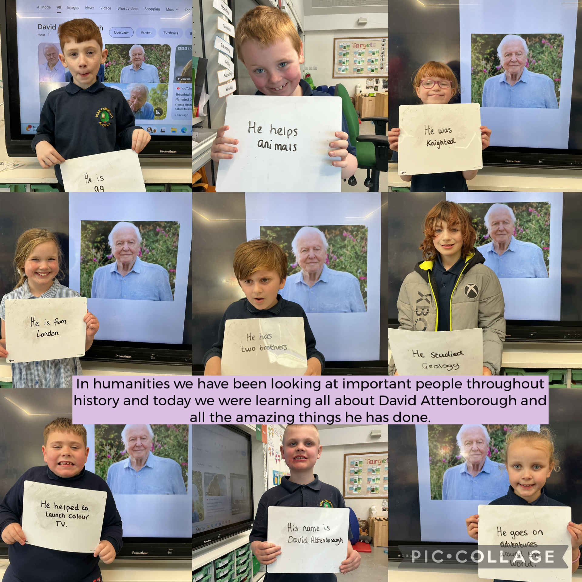 Image of David Attenborough facts!