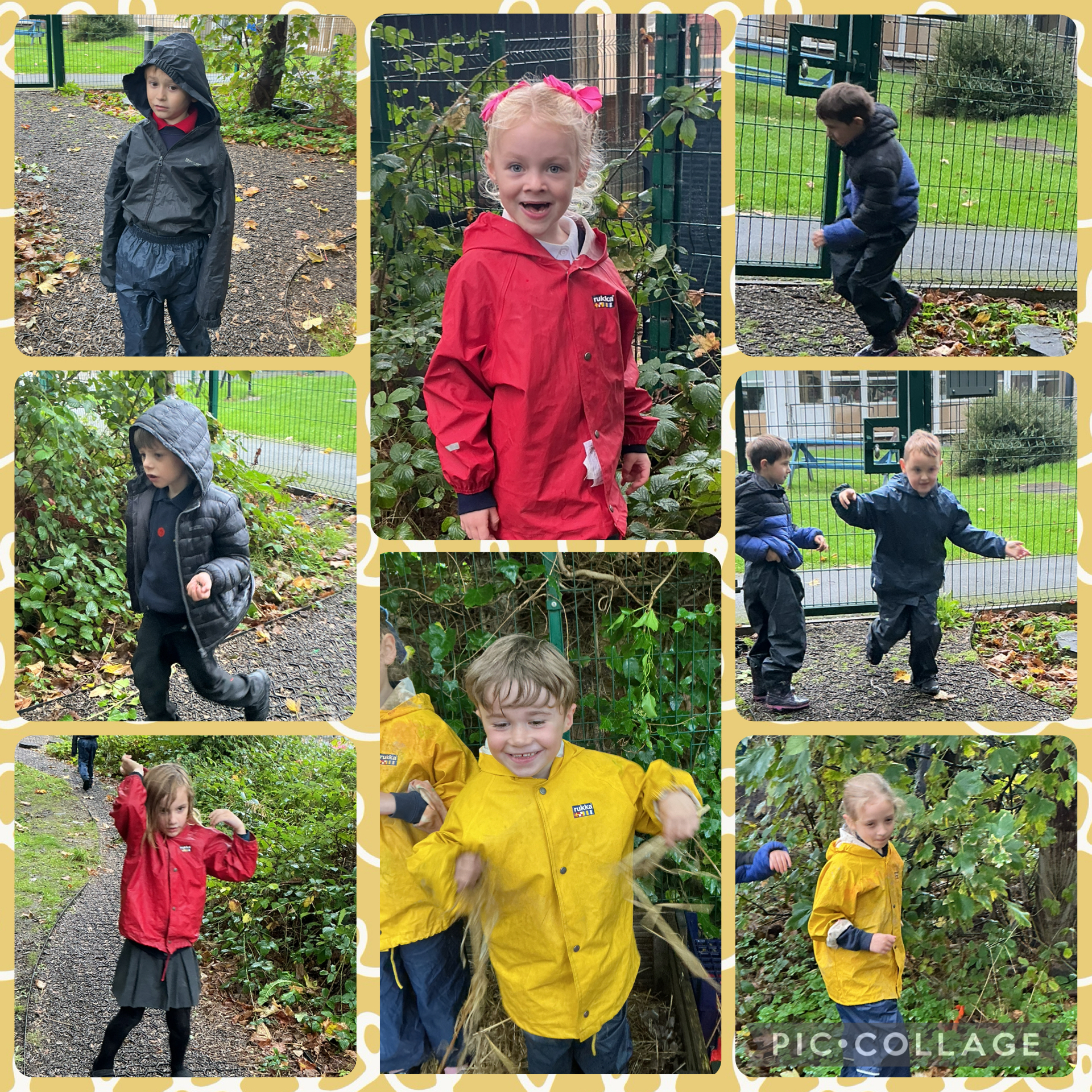 Image of Fun in the forest 