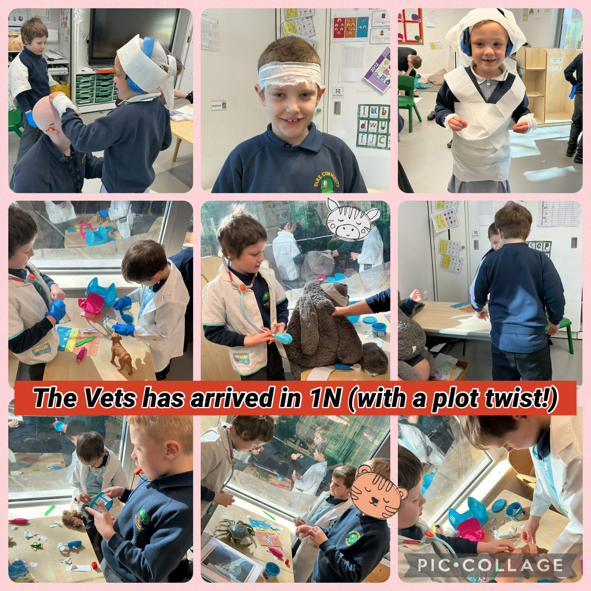 Image of 1N Vets… with a twist 