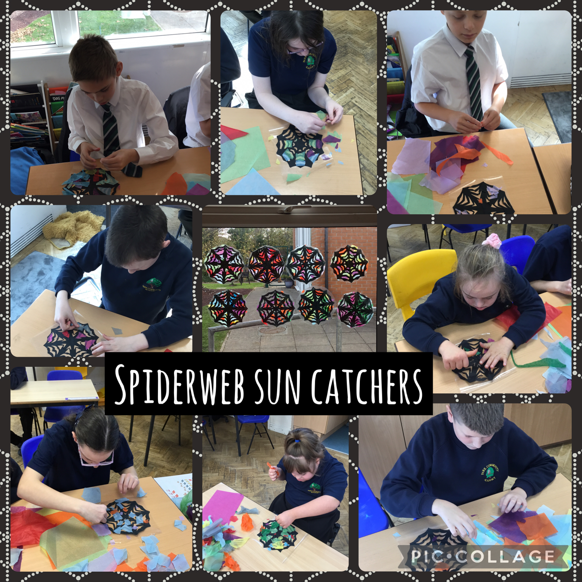 Image of Spiderweb sun catchers