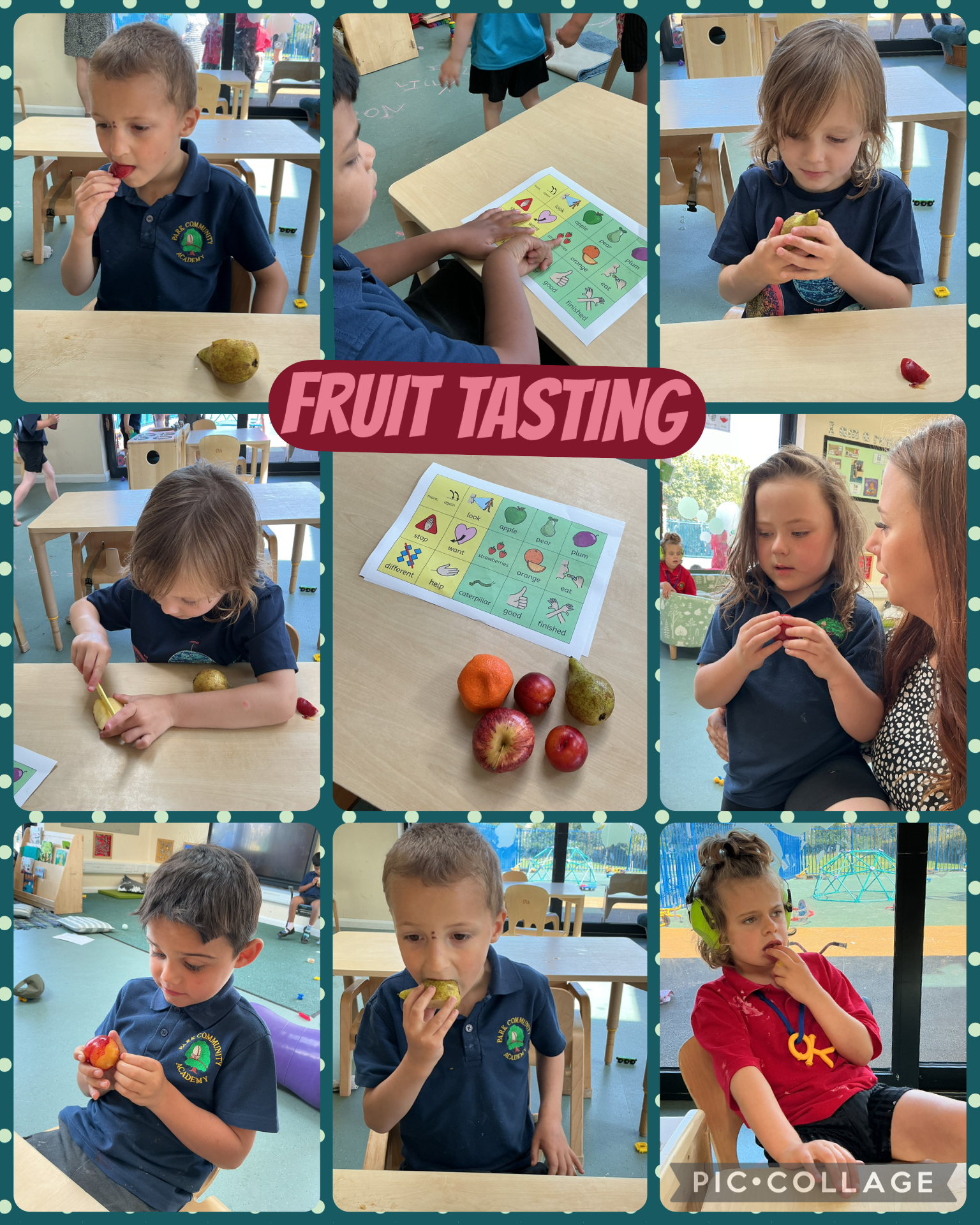 Image of Fruit tasting