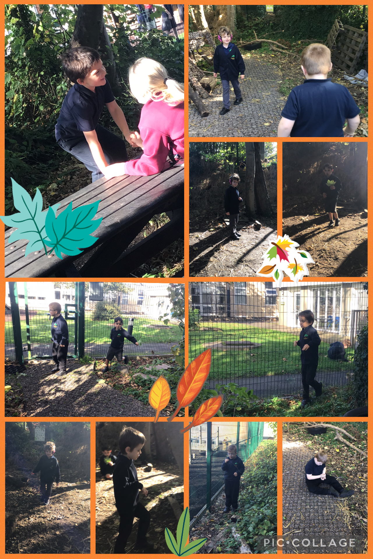 Image of Forest school