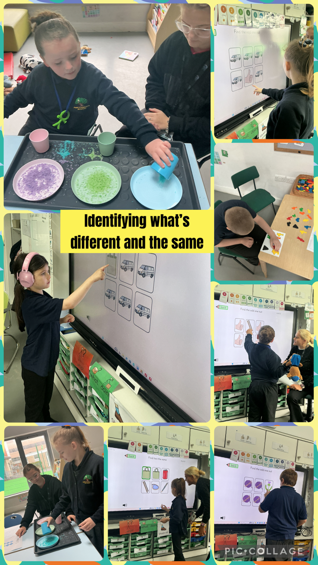 Image of Identifying what’s different and the same