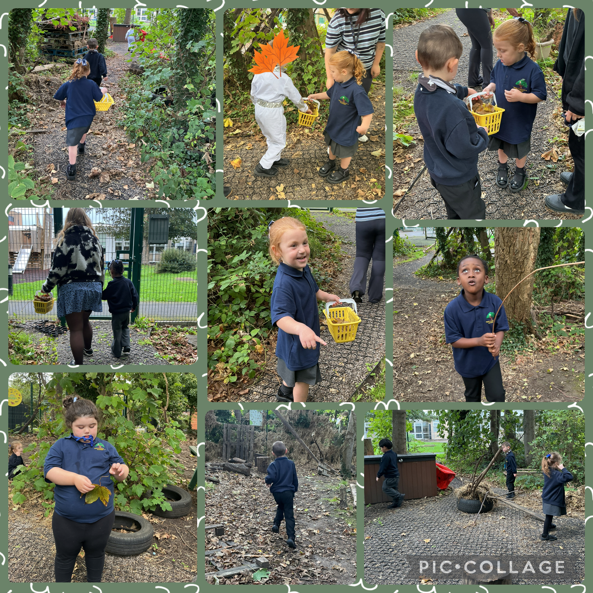 Image of Forest adventures!