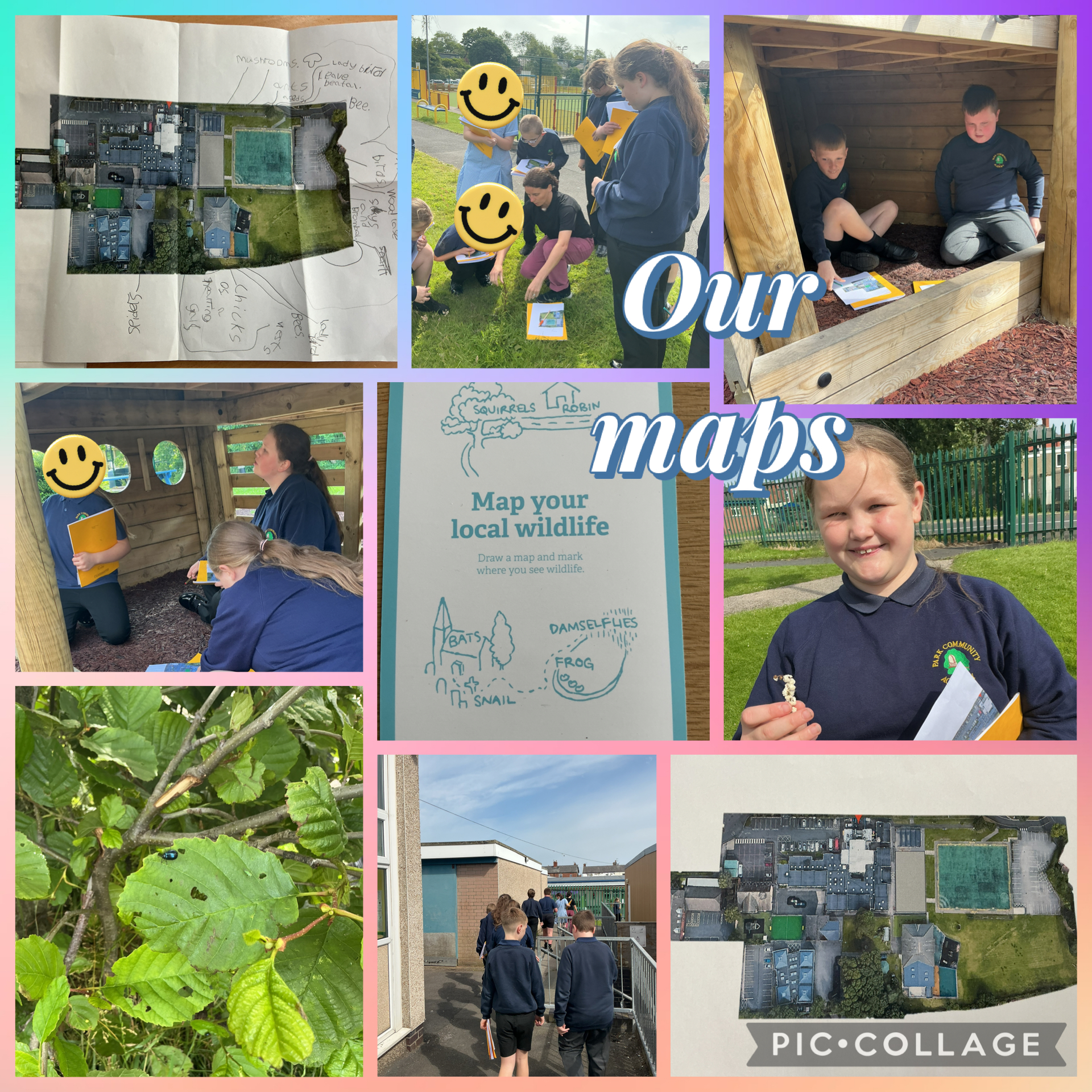 Image of Mapping our school