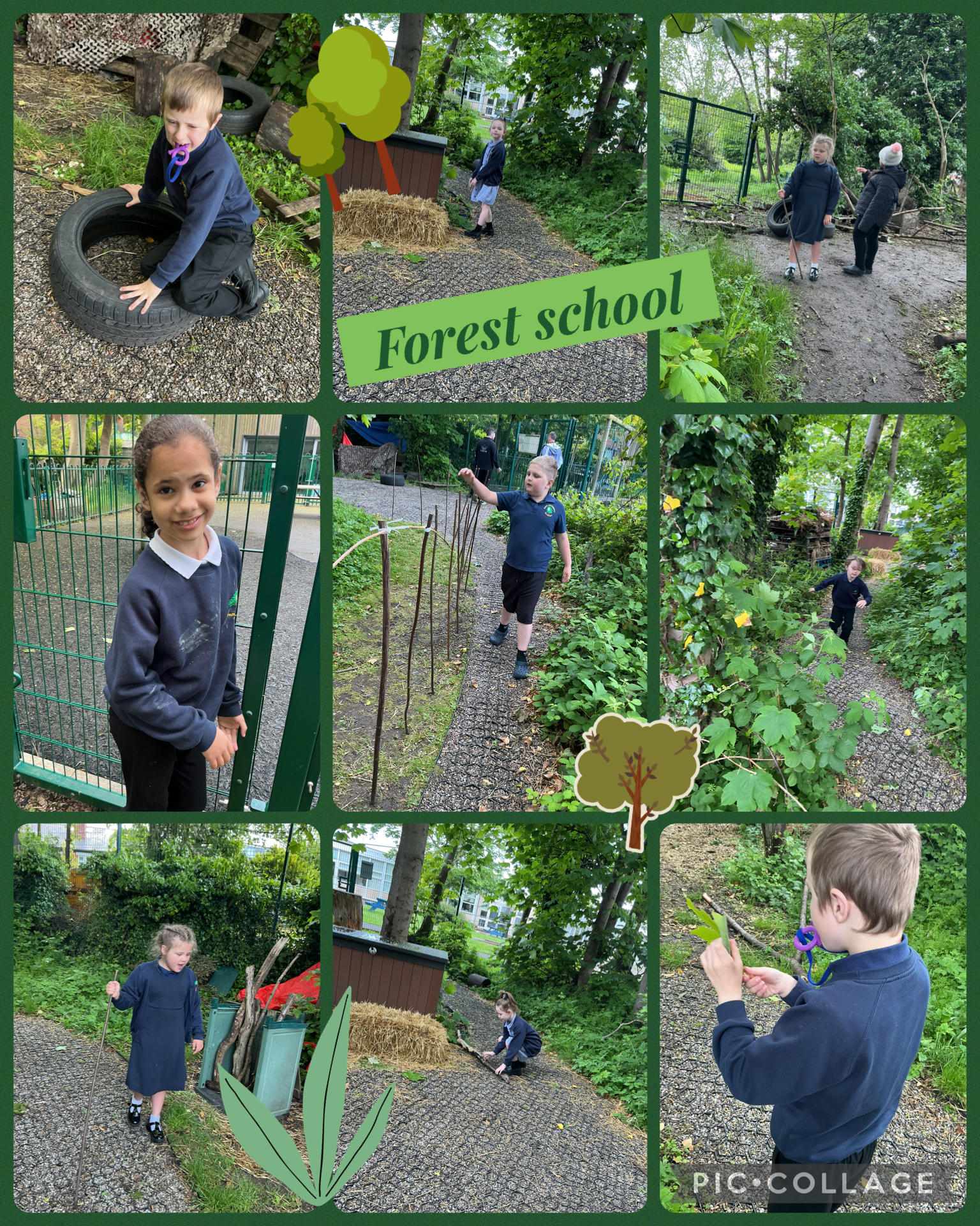 Image of Forest school