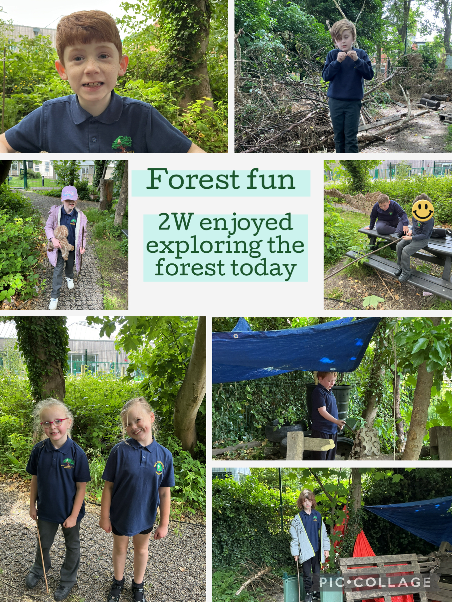Image of Forest fun
