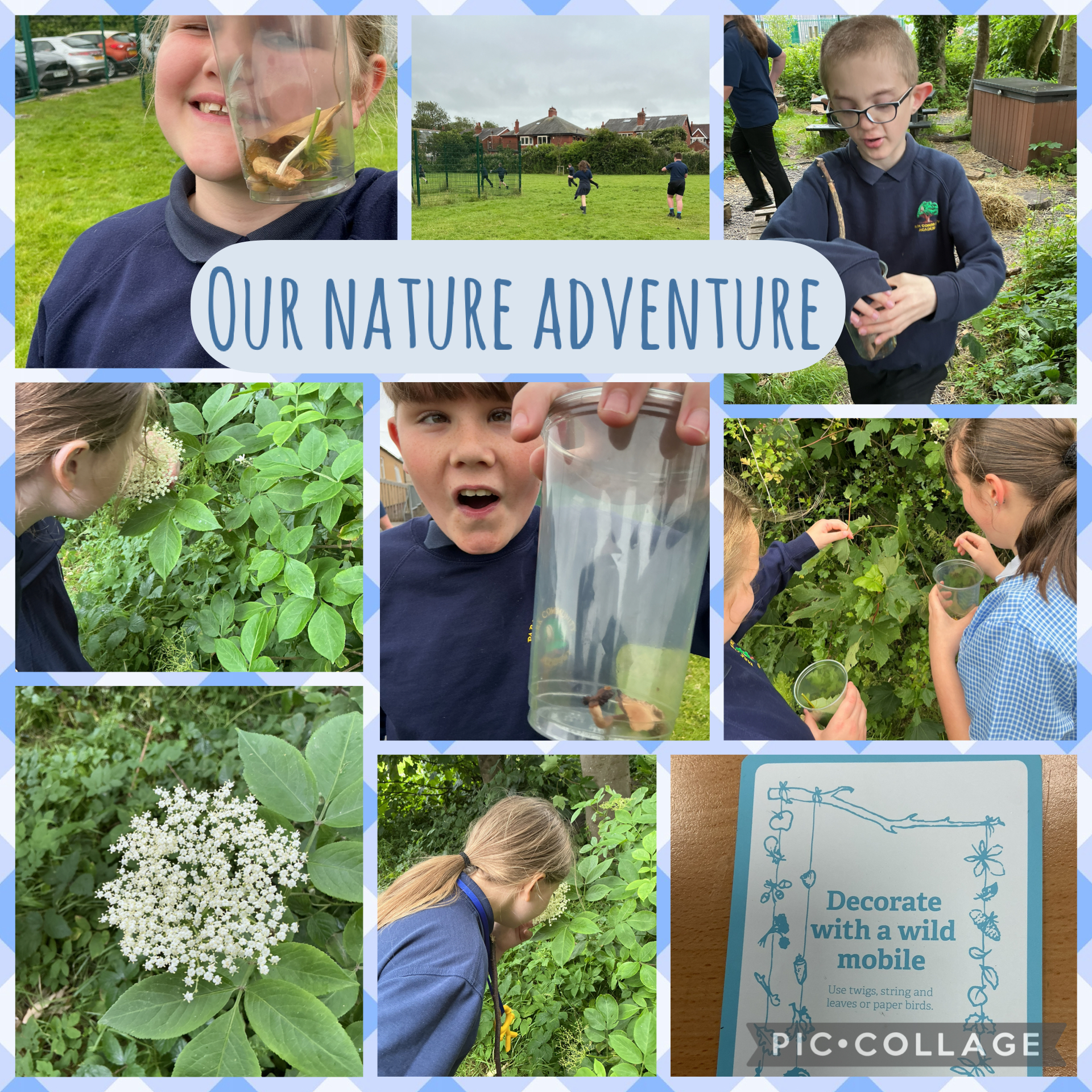 Image of Wild adventure for materials