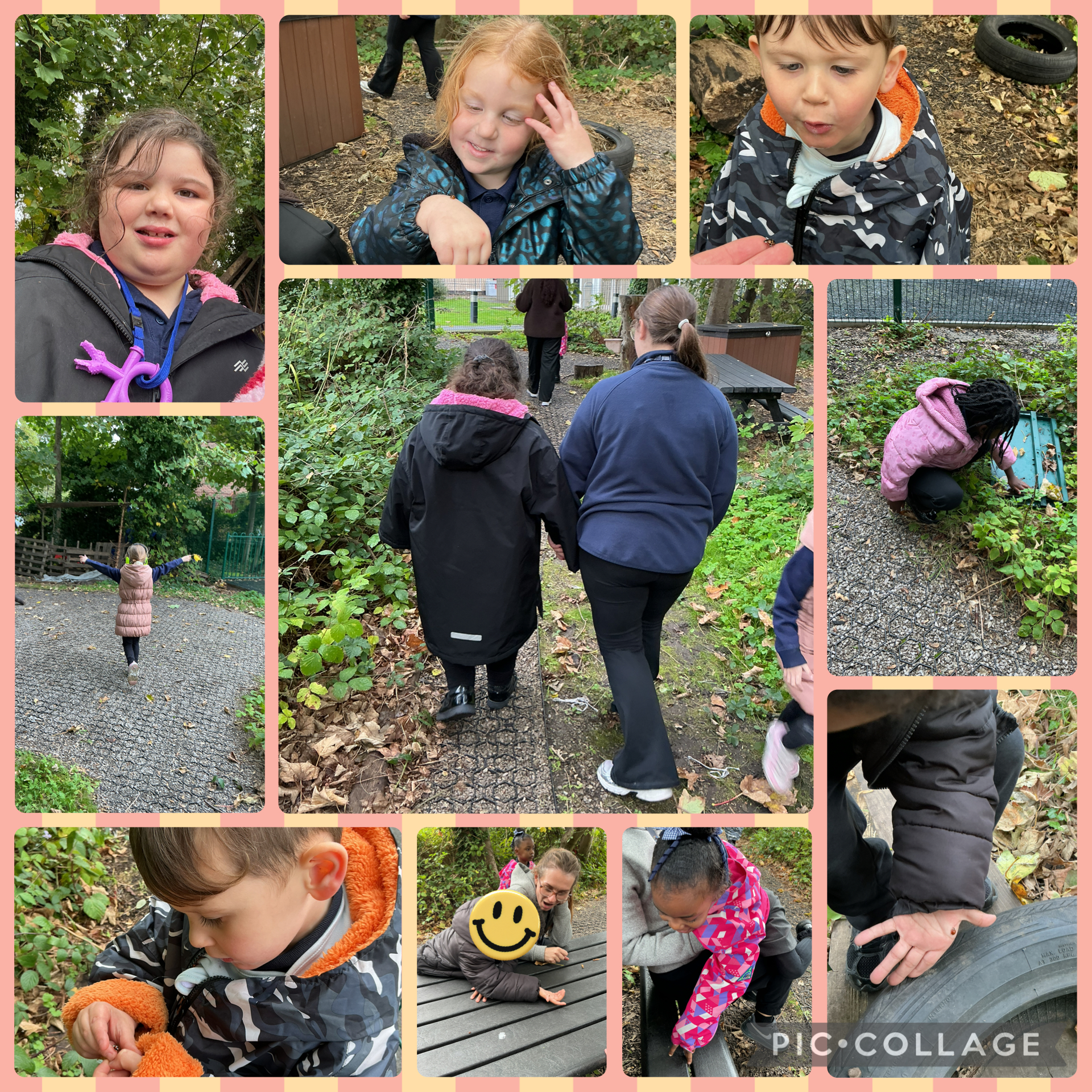 Image of Looking for ladybirds 🐞