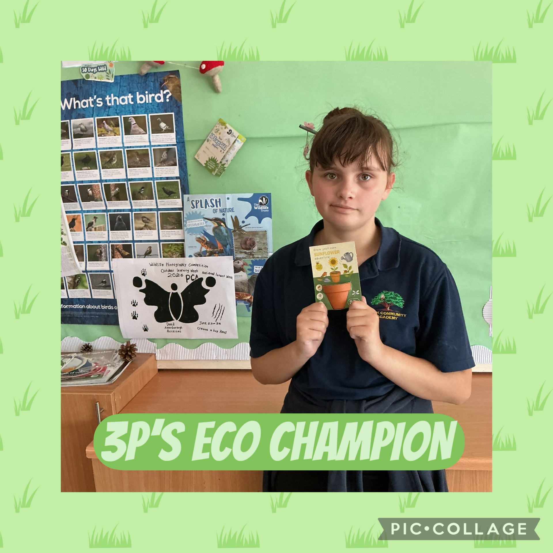 Image of 3P’s ECO CHAMPION 