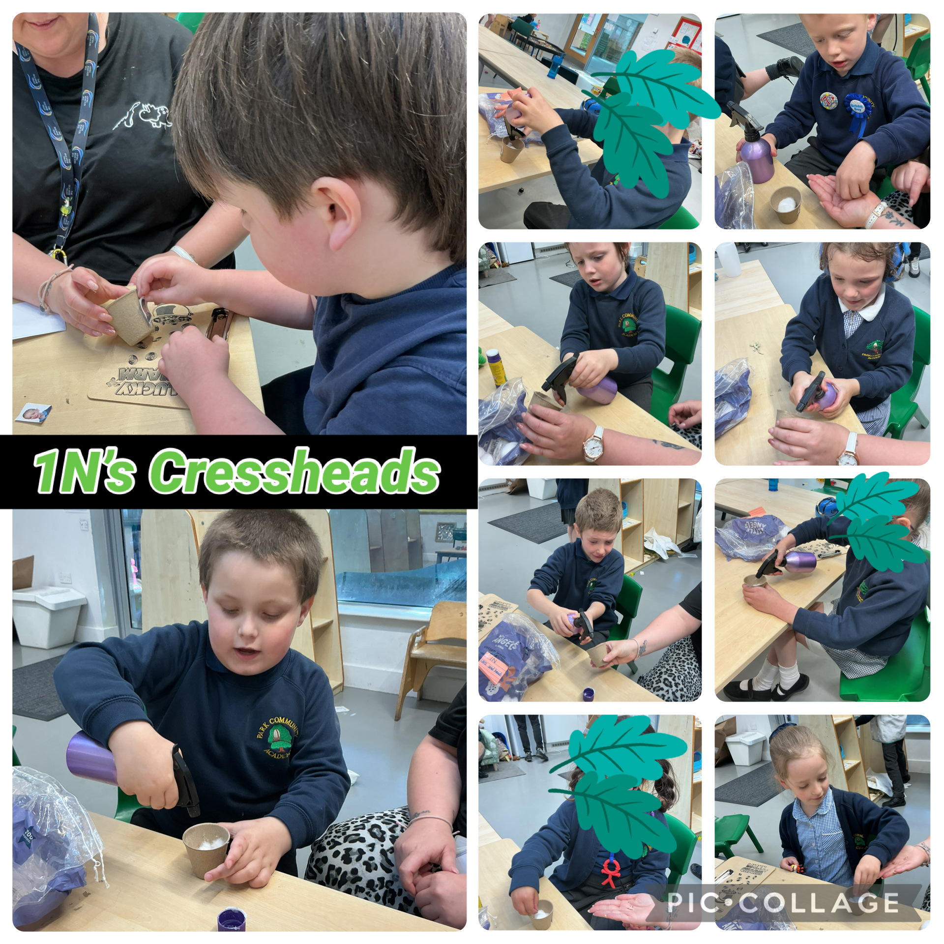 Image of 1N made Cress Heads 
