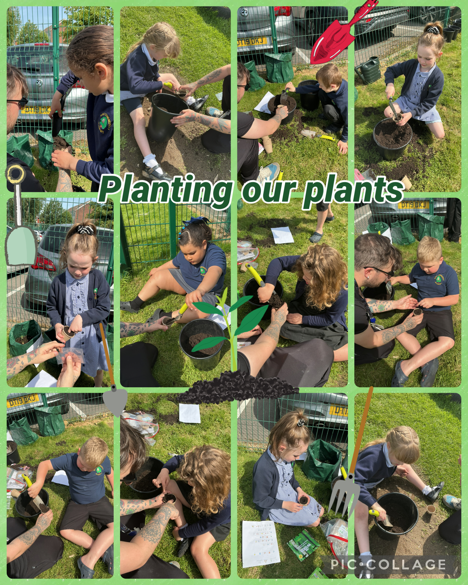 Image of Planting our plants 