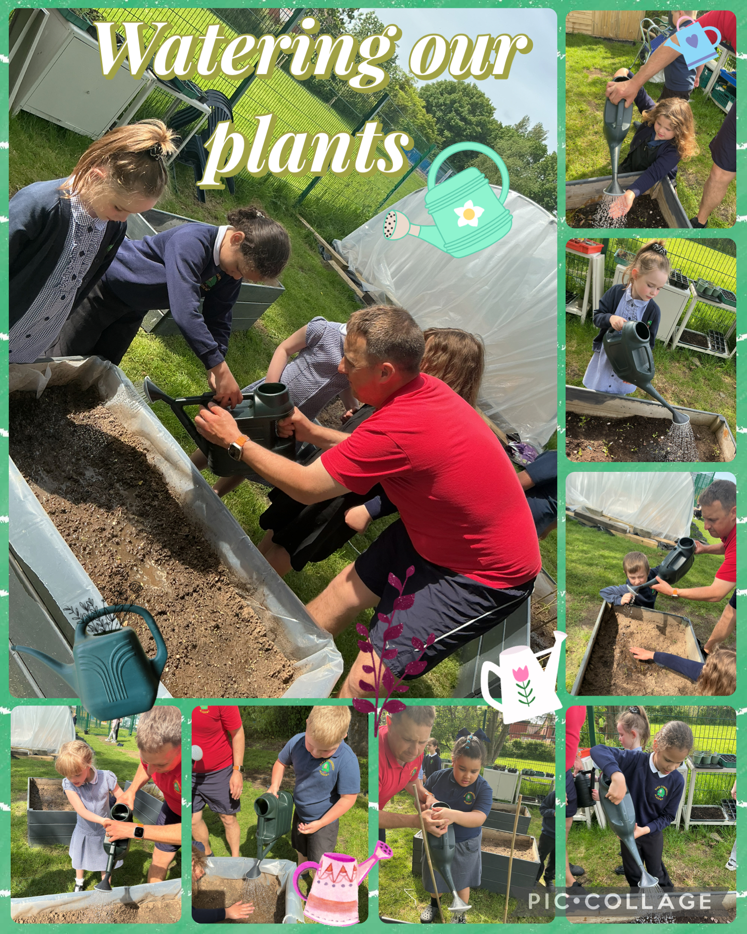 Image of Watering our plants 