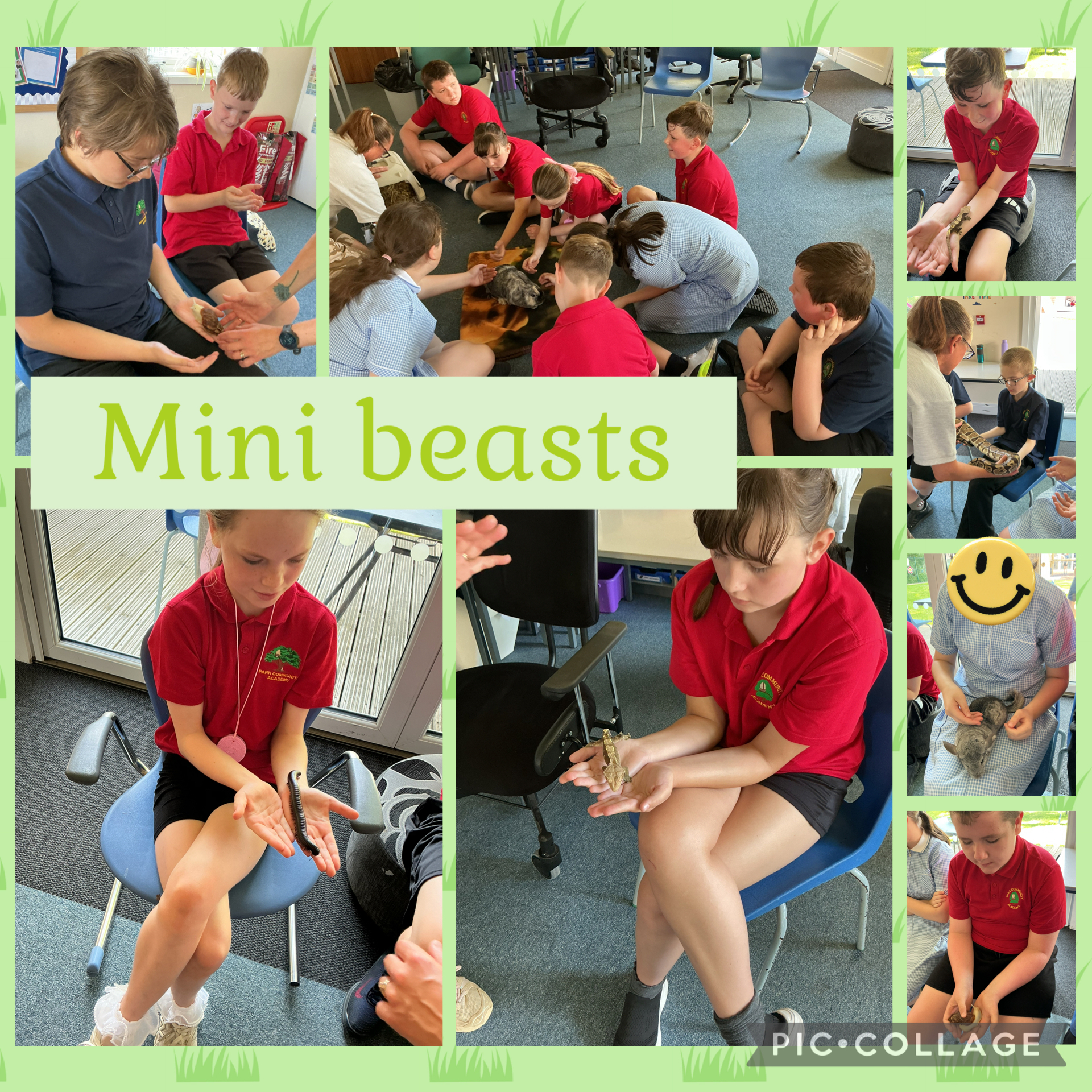 Image of Mini beasts