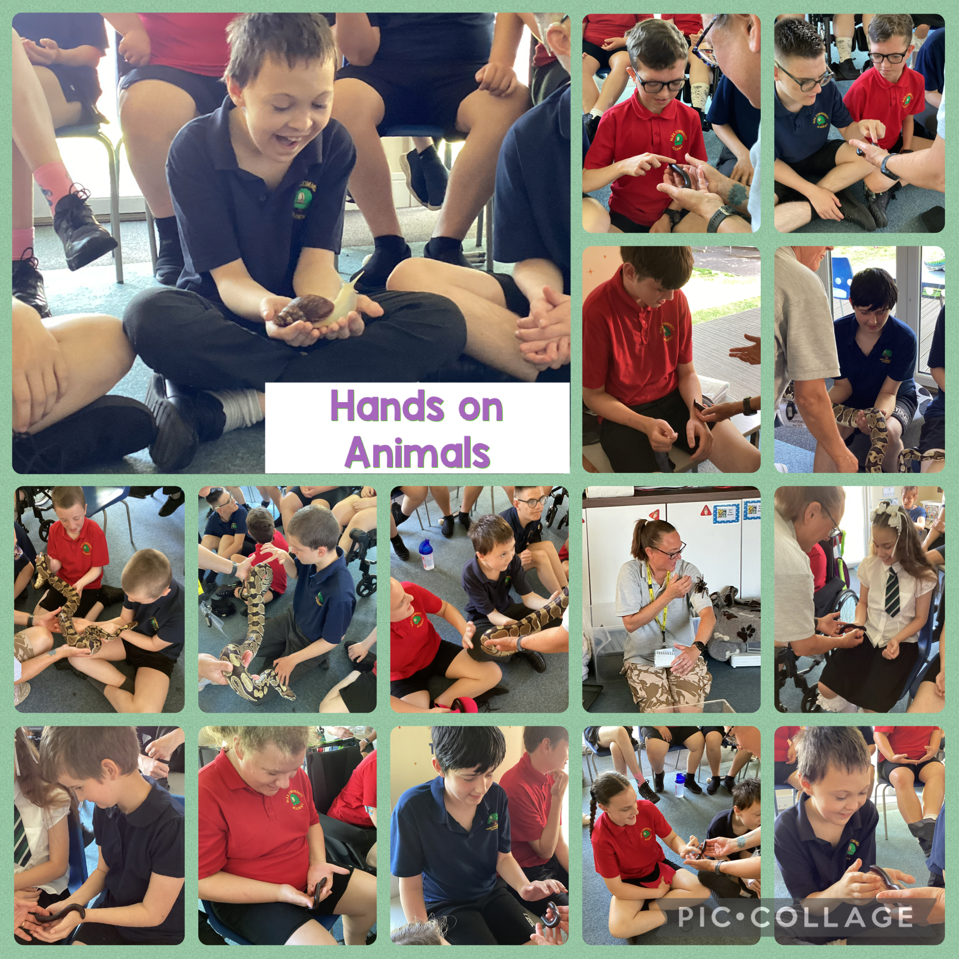 Image of Hands on Animals!