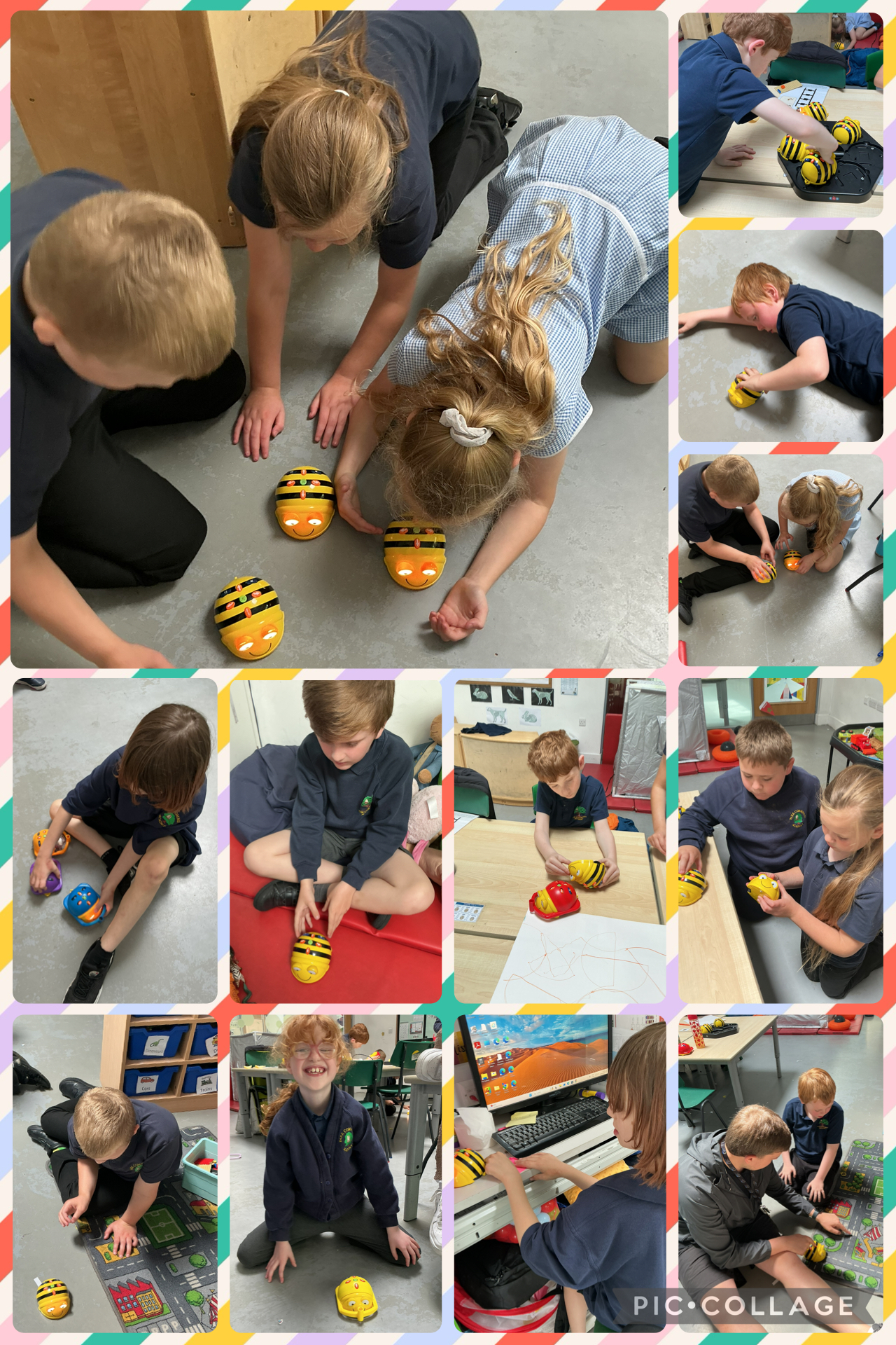 Image of Beebots
