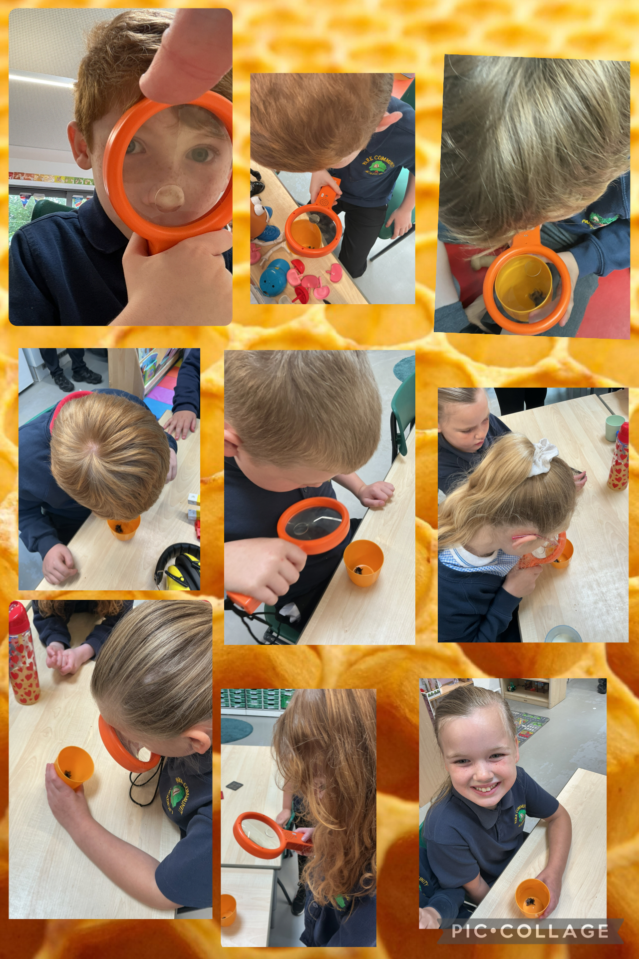 Image of Exploring creatures with the magnifying glass