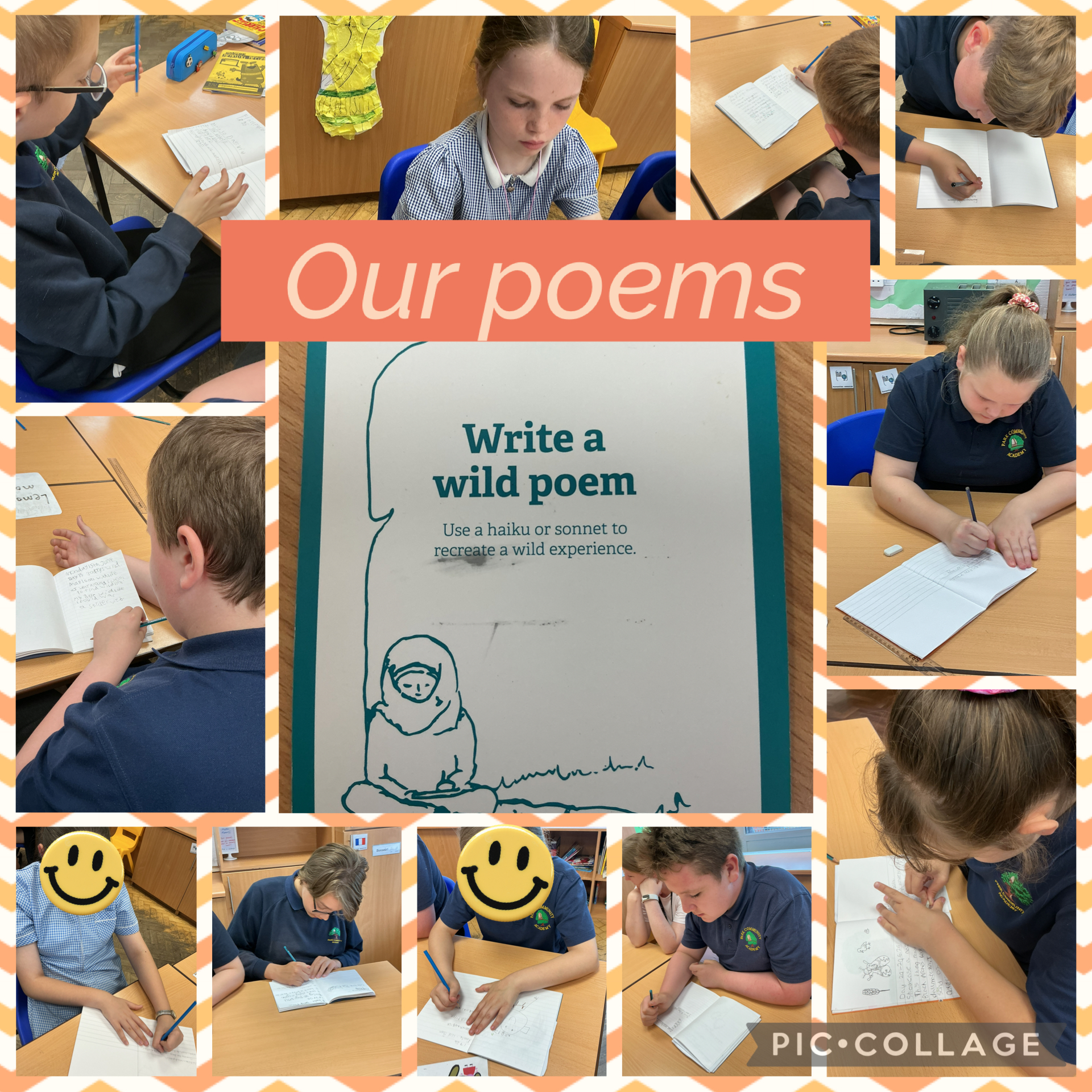 Image of Our wild poems 