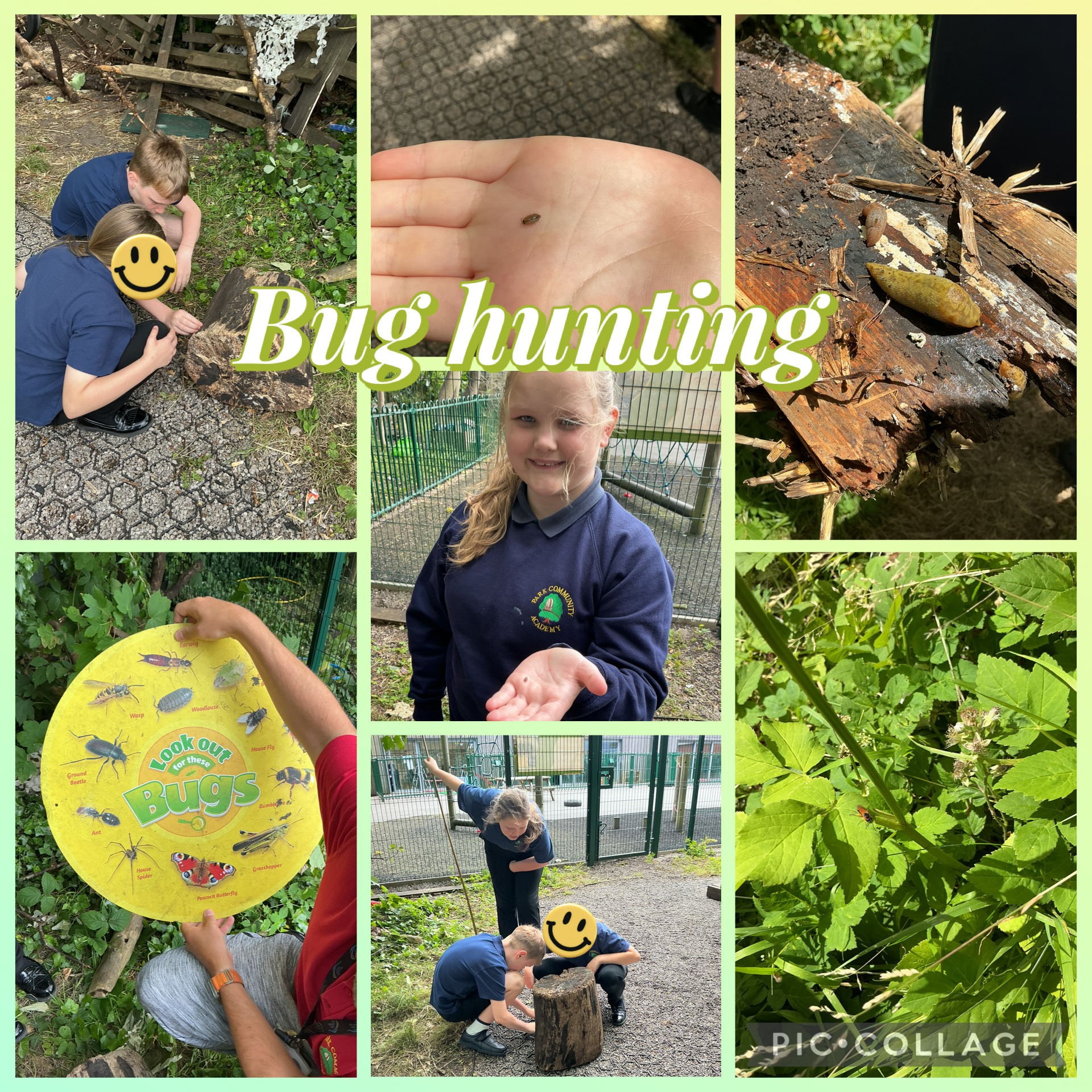 Image of Bug hunting