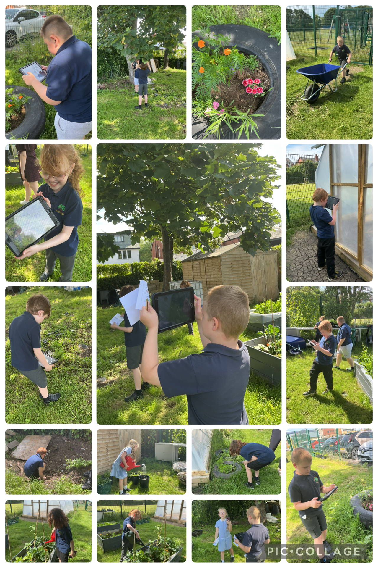 Image of Allotments!