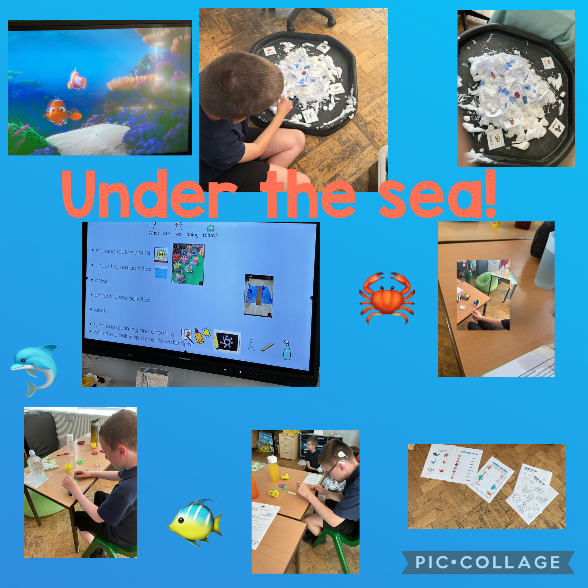 Image of Under the sea