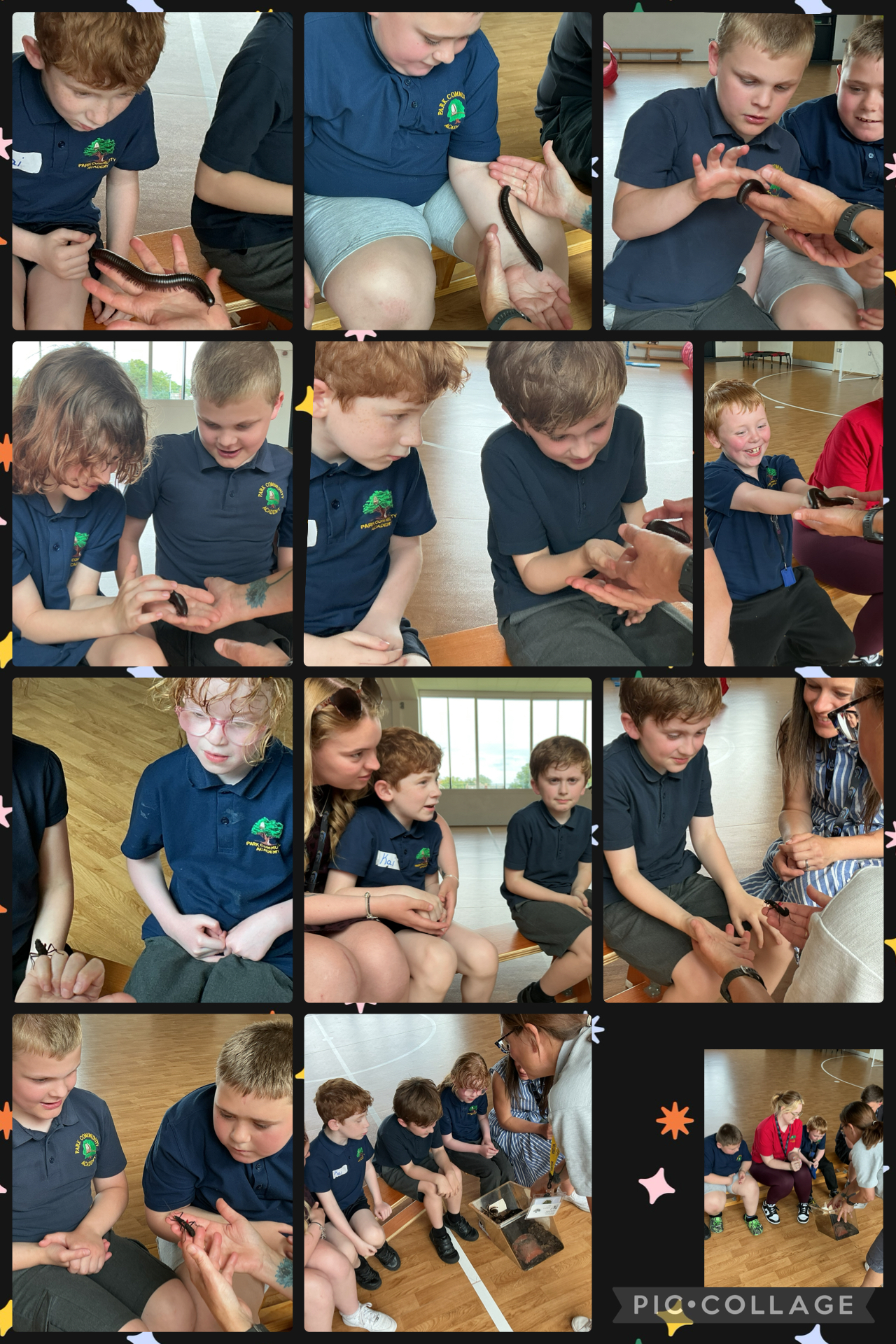Image of Meeting the bugs!