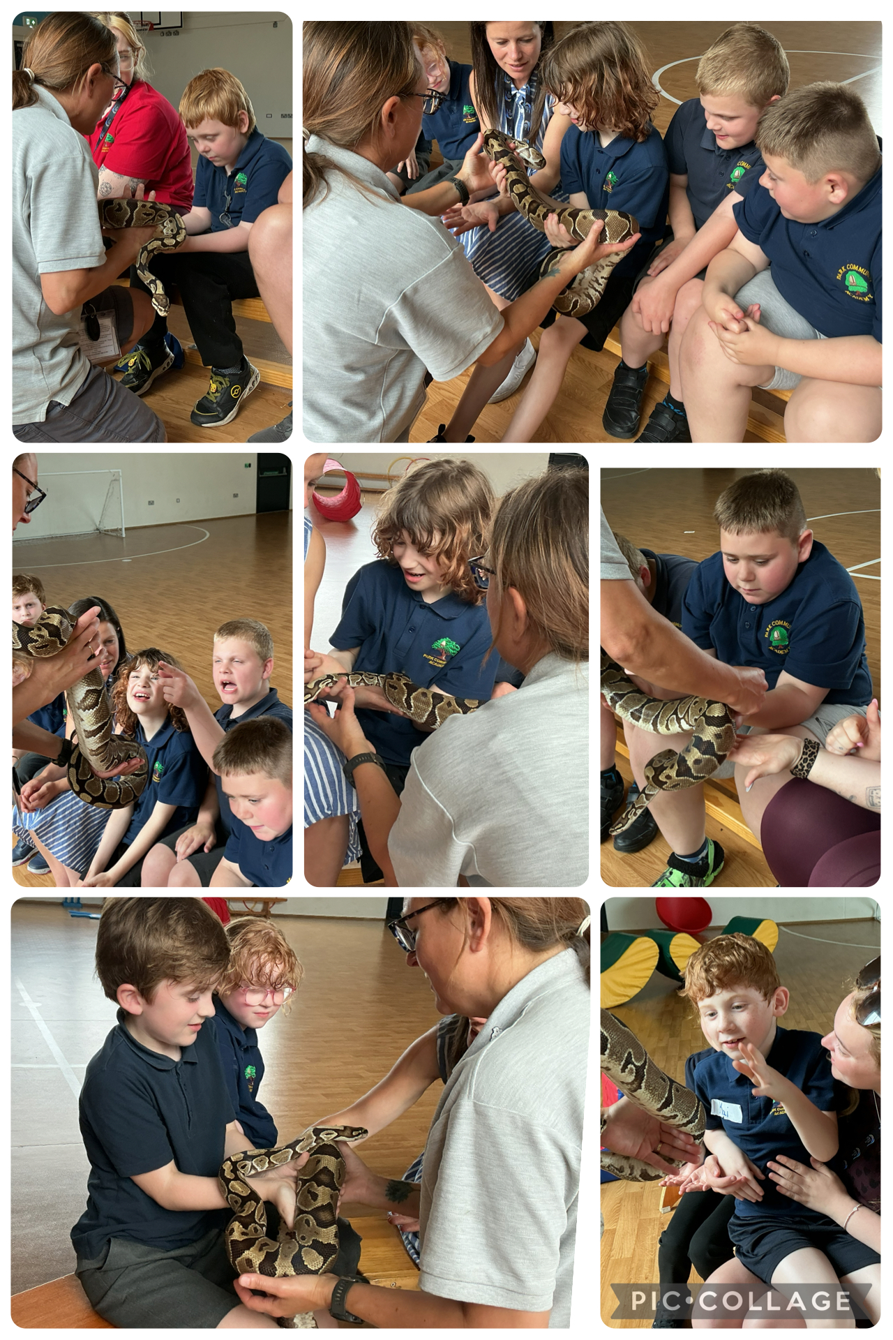 Image of We faced our fears and learned something new!