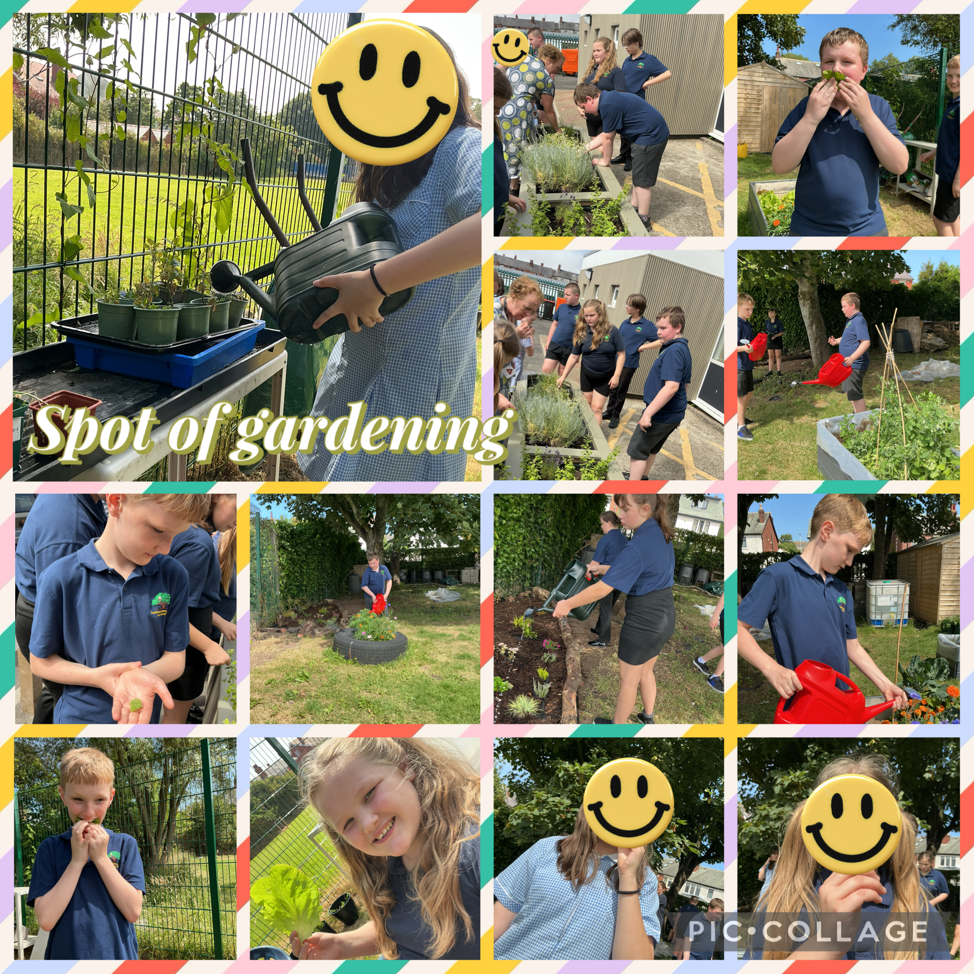 Image of 3P have green fingers