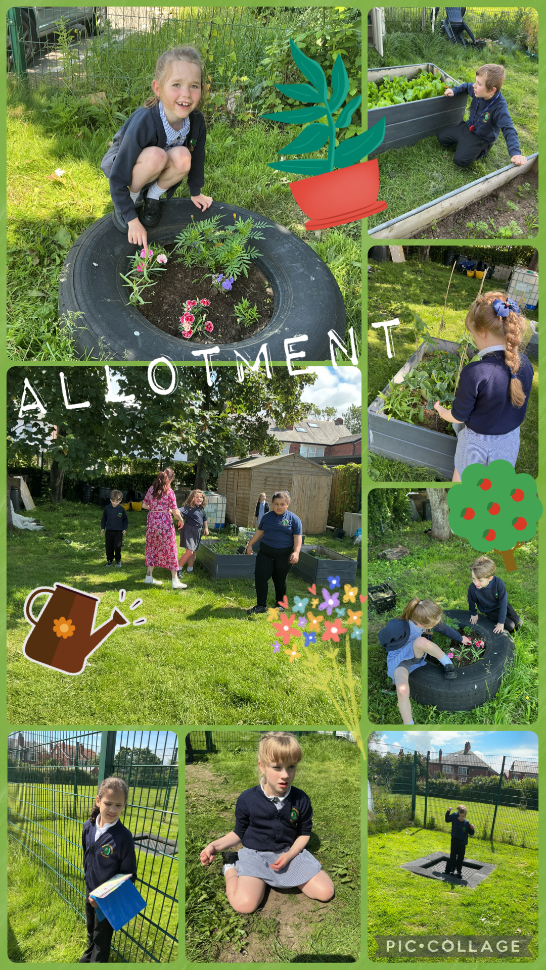 Image of Allotment