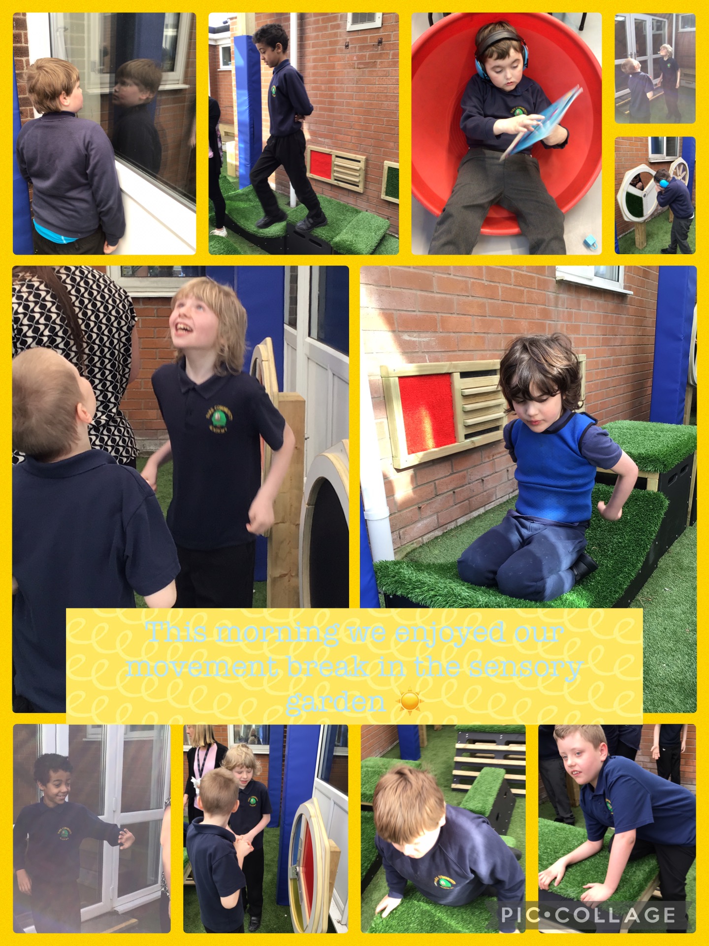 Image of Sensory garden 