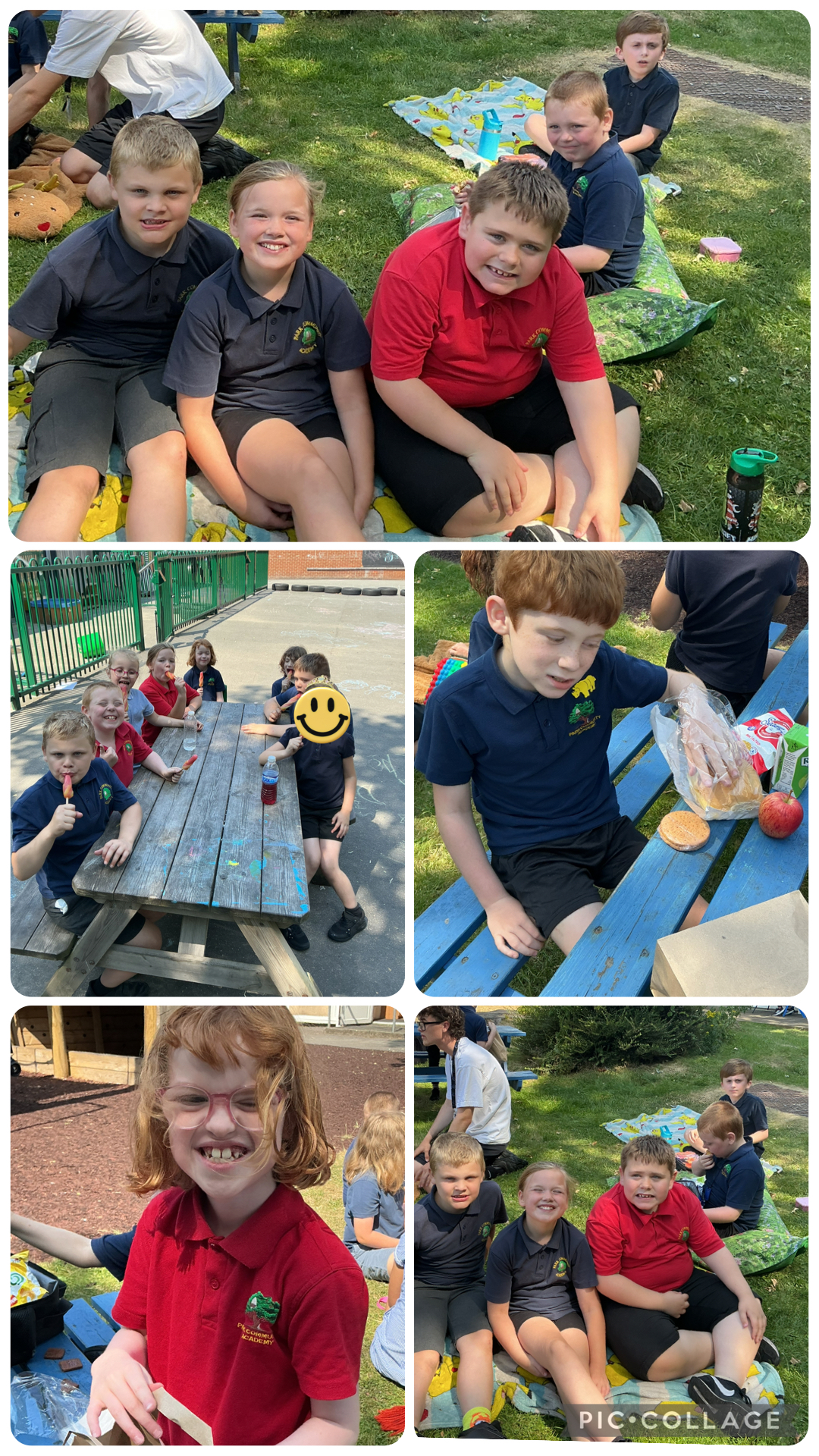 Image of End of year picnic