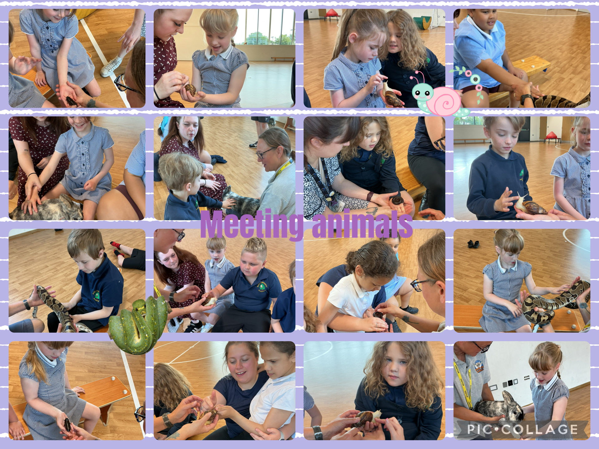 Image of Meeting animals