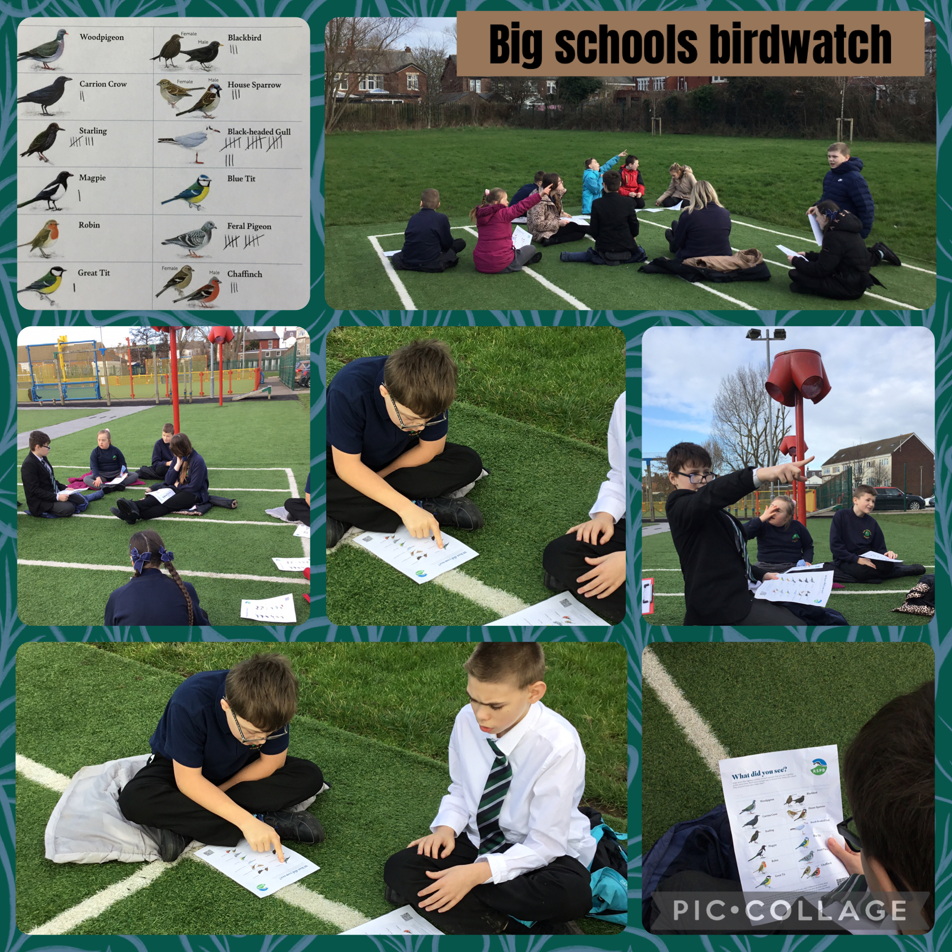 Image of Big schools birdwatch