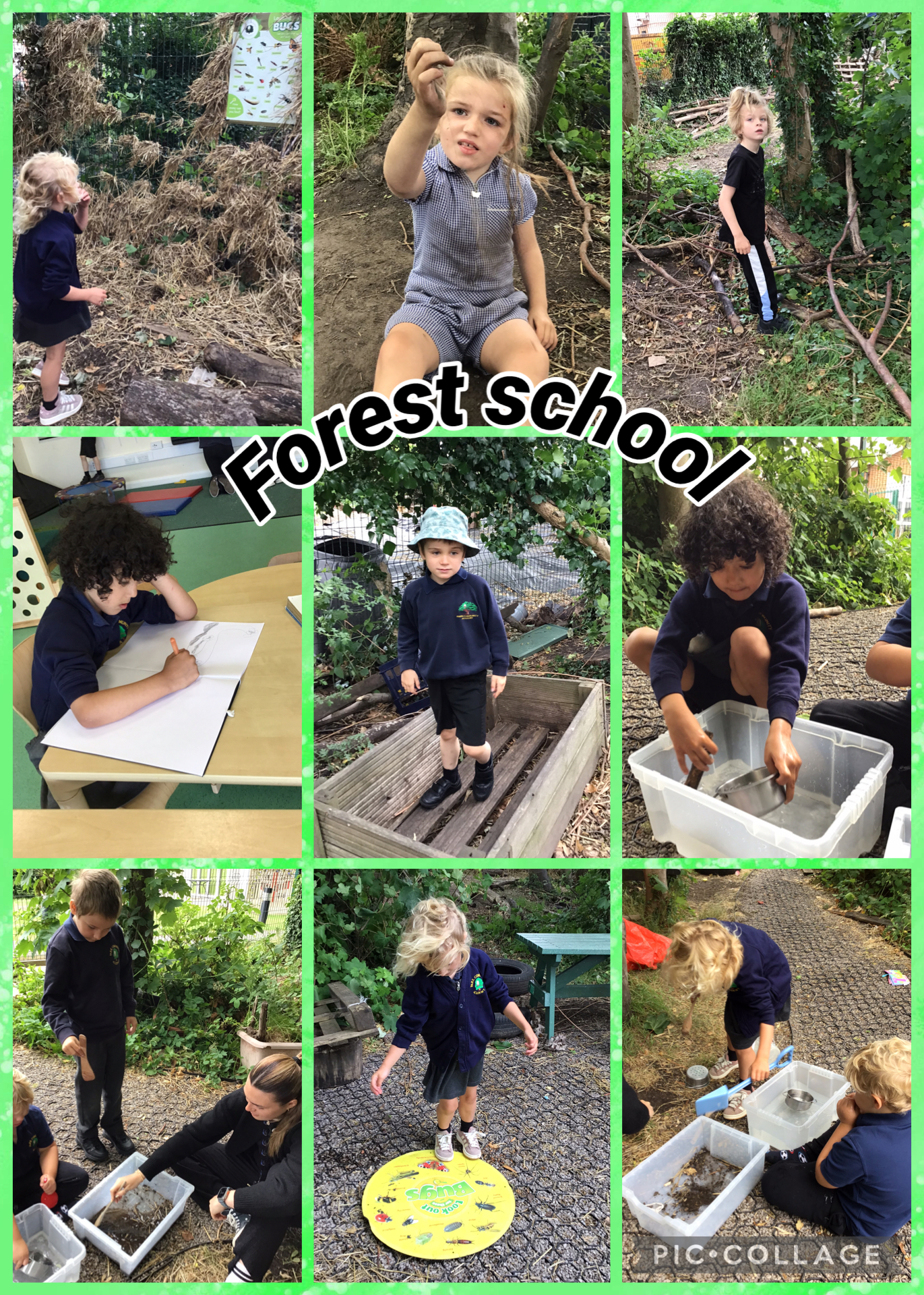 Image of Forest school