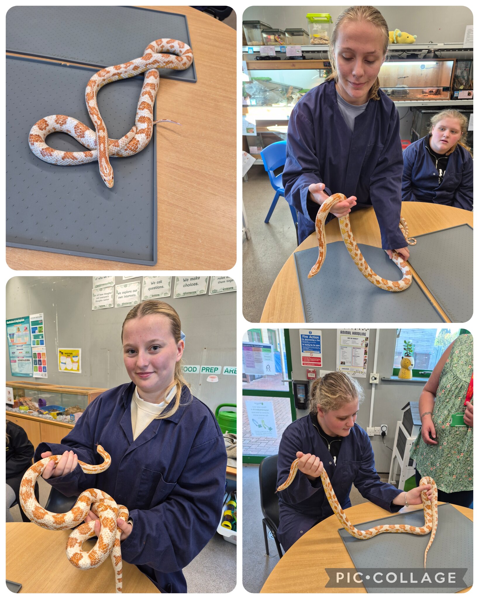 Image of Myerscough Animal Care