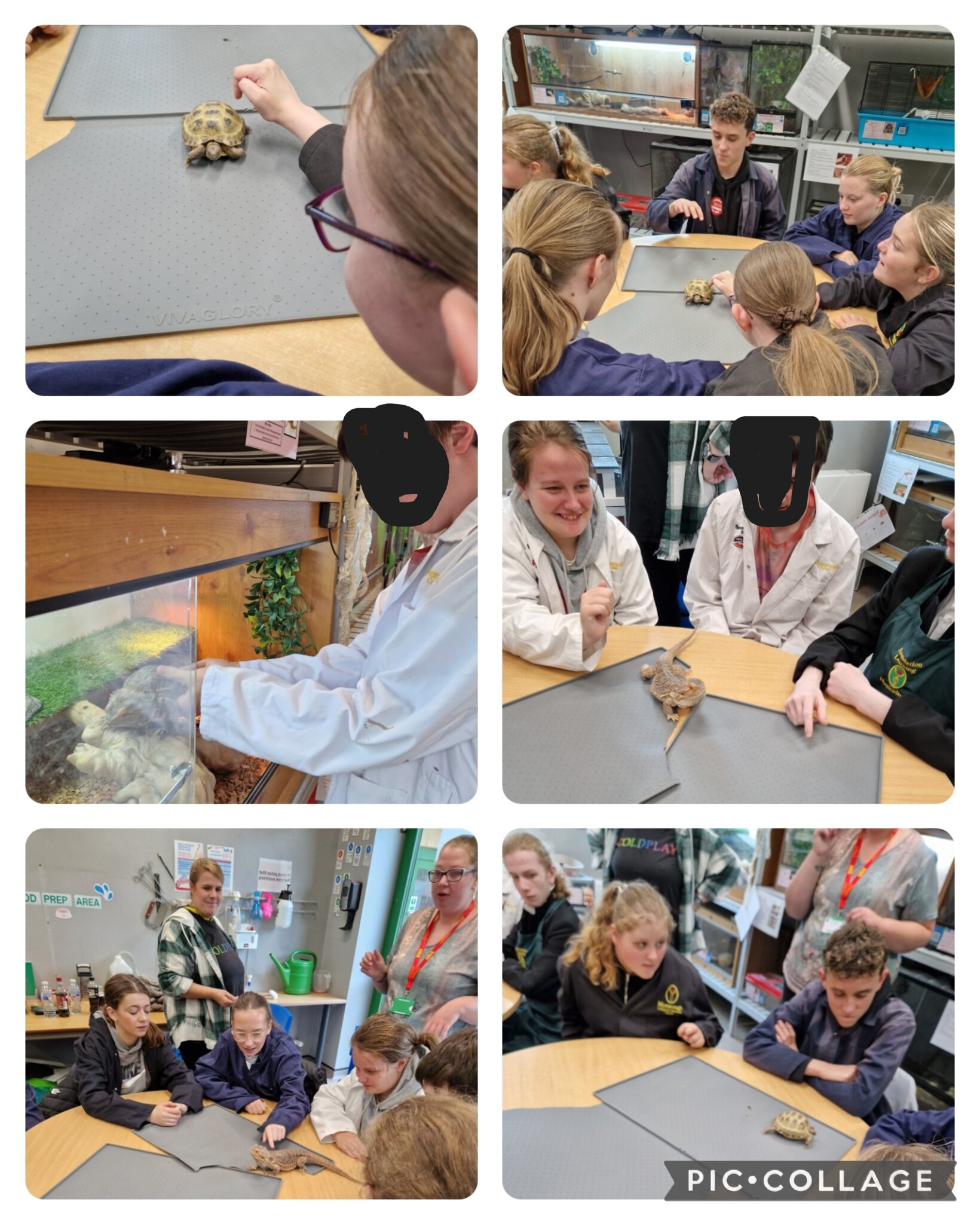 Image of Myerscough Animal Care