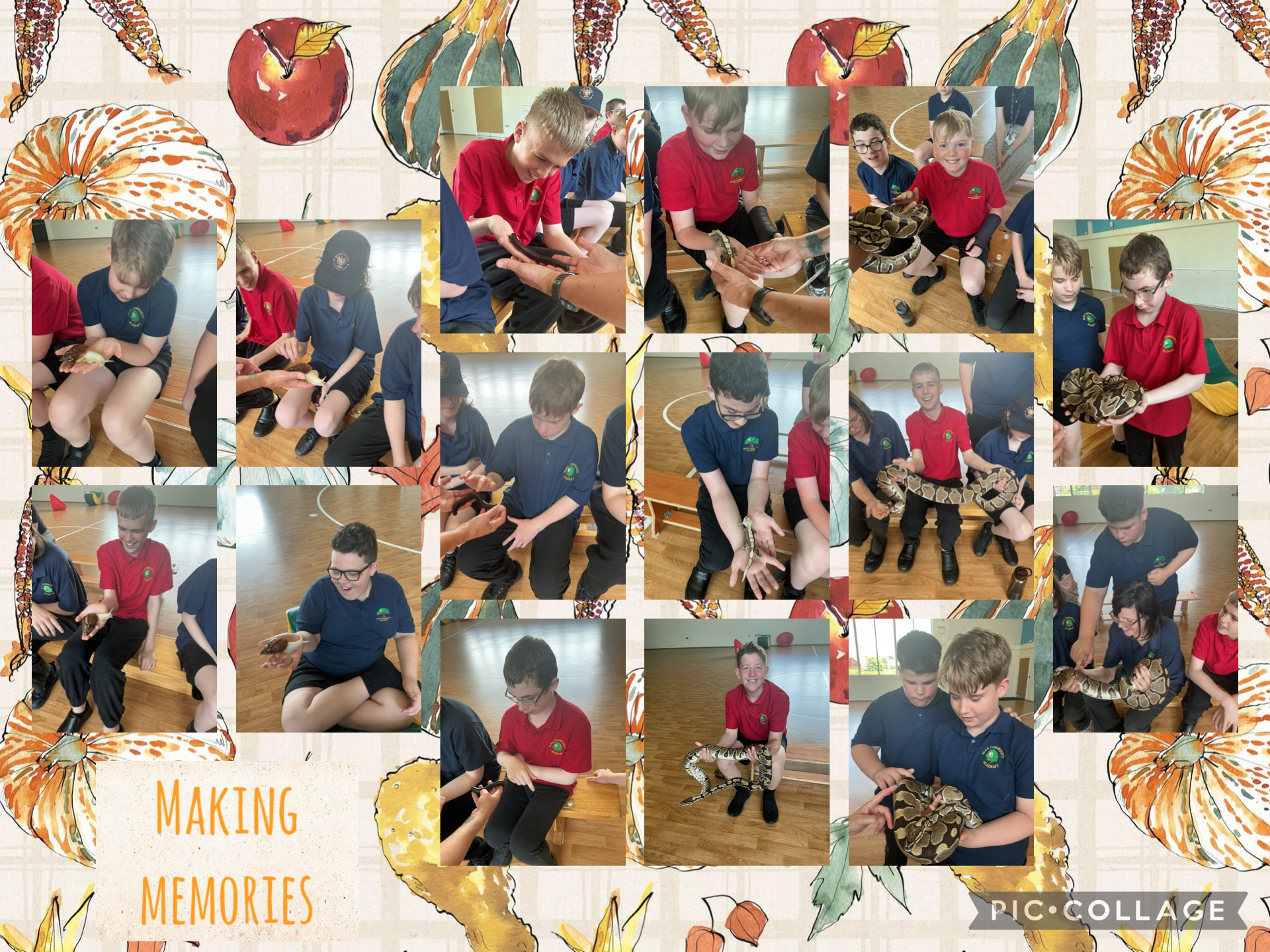Image of Hands on Animals
