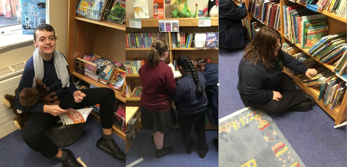 Image of Choosing books