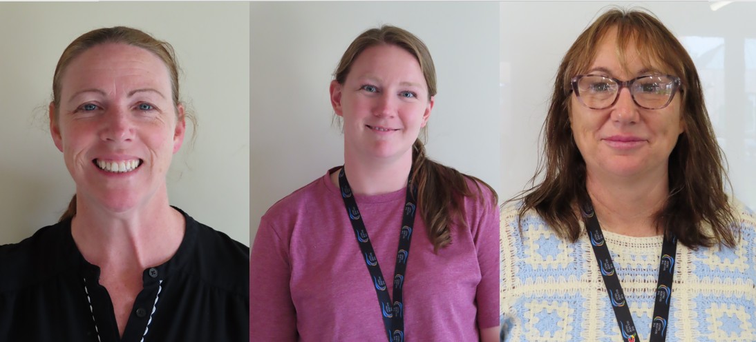 Image of Meet the Team