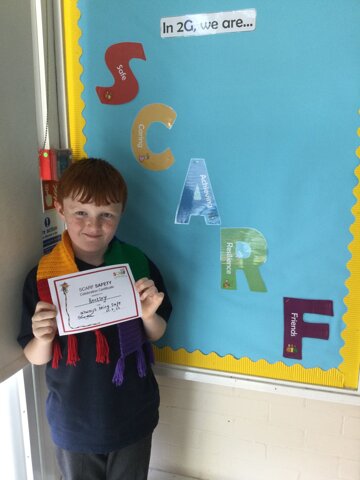 Image of Scarf of the Week :Safe