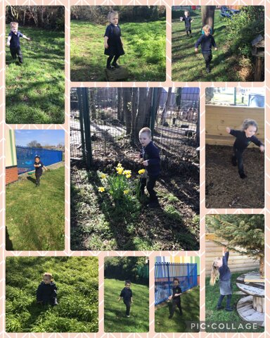 Image of Forest School Fun