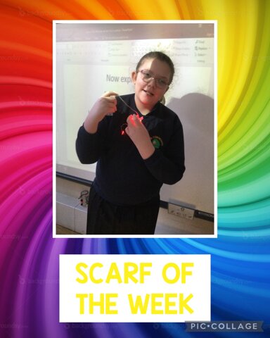 Image of Scarf of the Week