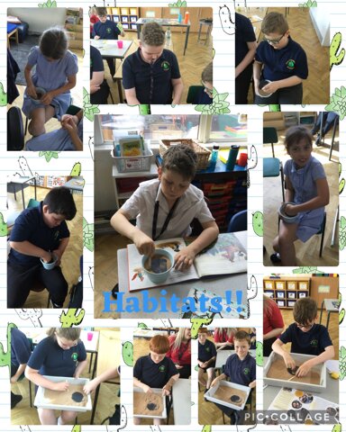 Image of Living animals and habitats! 