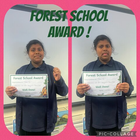 Image of Forest School Award 